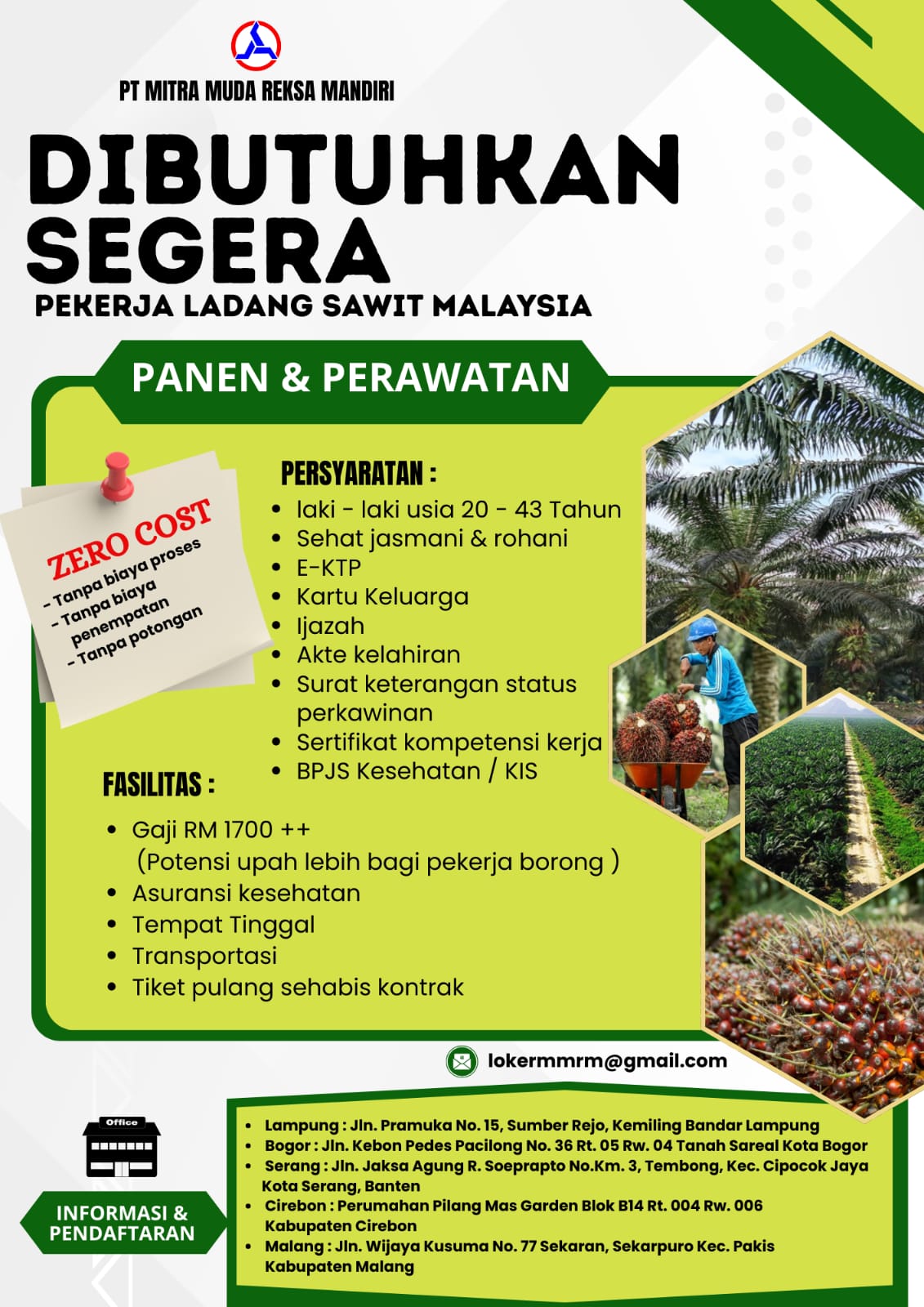 DIBUTUHKAN SEGERA: PEKERJA LADANG SAWIT MALAYSIA